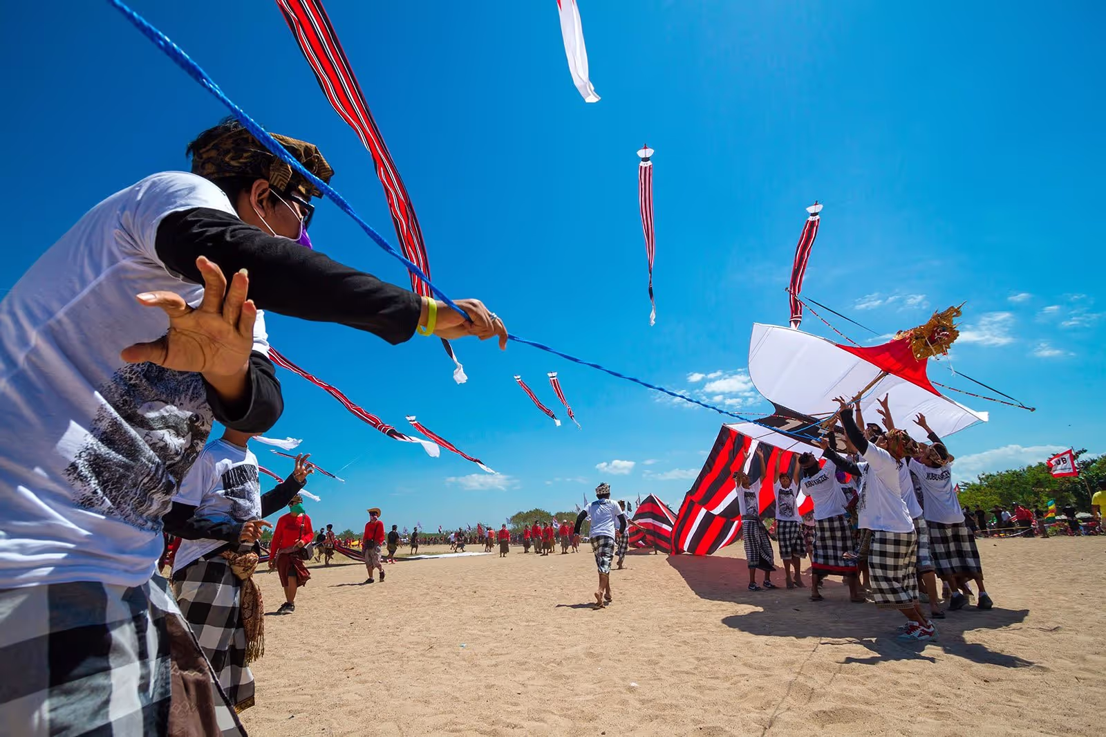 “Let’s go fly a kite…Bali Kite Festival